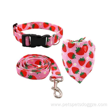 Custom Dog Collar And Leash Set Ajutable Pattern